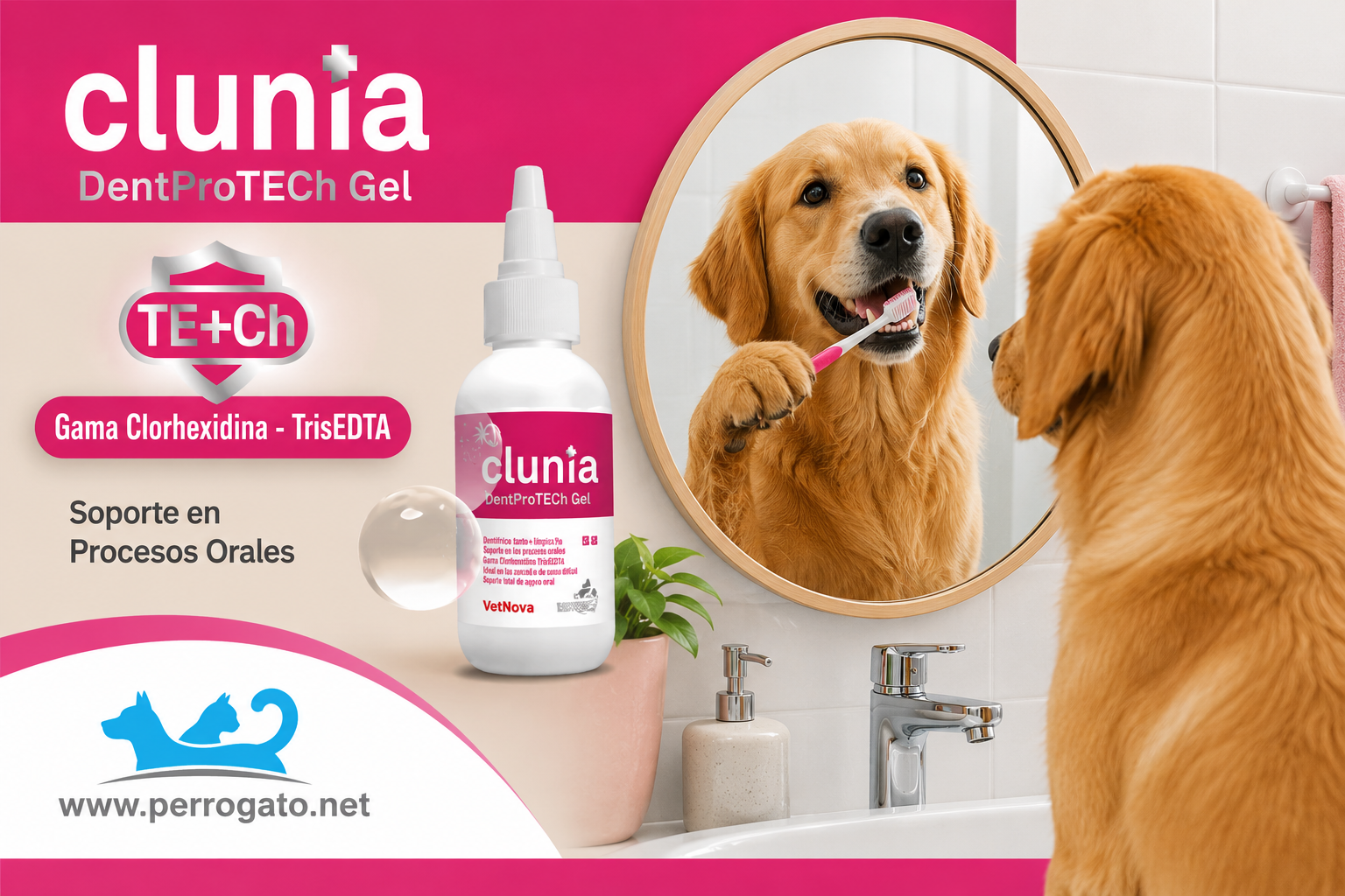 CLUNIA Higiene dental de perros y gatos